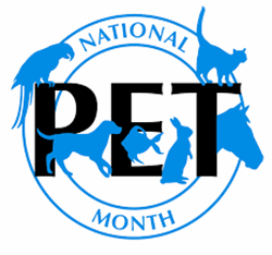 Ask Sarah: National Pet Month 