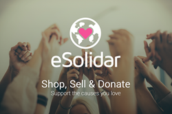 Company Casebook: eSolidar