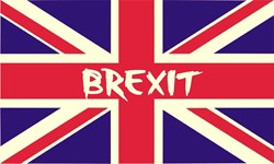The Small Cap Investor: Adjusting to the reality of Brexit - with David Thornton