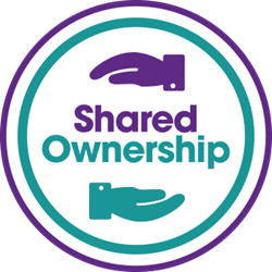 Young Money: Shared Ownership