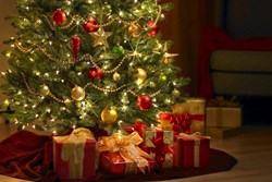 Christmas tree expert David Mitchell gives the lowdown on the best trees to choose