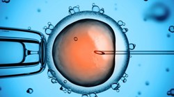Fertility specialist James Armitage from Assured Fertility discusses the news of IVF offering no age cut-off