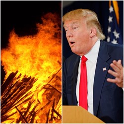Burn, baby, burn: Trump to ignite bureaucratic bonfire