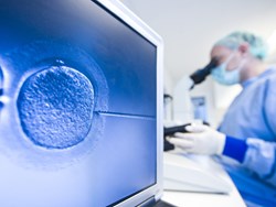 The News Review: IVF offered at no cost in exchange for a donation of half of women's eggs
