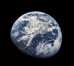 NEF: Can we save the planet despite Trump?