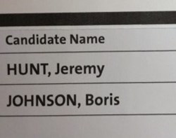 Six weeks of lobbying and hustings boil down to ..