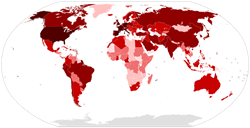 The Bigger Picture: Which countries have got the coronavirus response right?