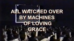 How the philosophy of unbridled self-interest led to a catalogue of exploitation and failure ..