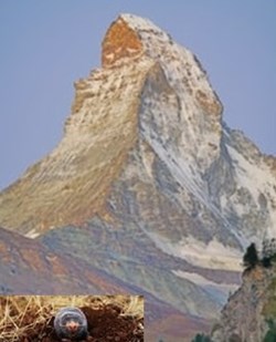 Mountains or Molehills? In a world confronted with huge issues ..