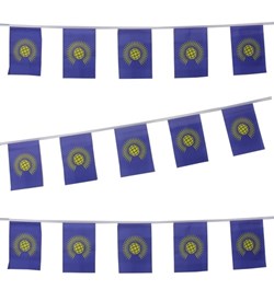 .. so perhaps our Jubilee Union Jacks should be replaced with Commonwealth bunting to reflect the significance of her achievement
