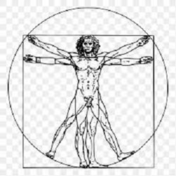 The Hypnotist: Leonardo da Vinci Hypnosis - Unlock Your Inner Polymath